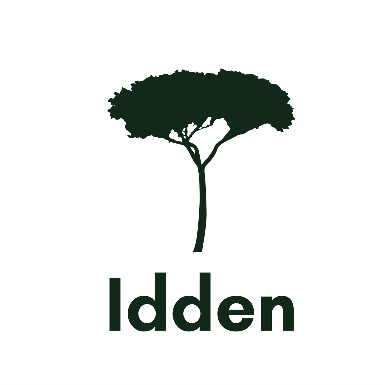 Idden 이든