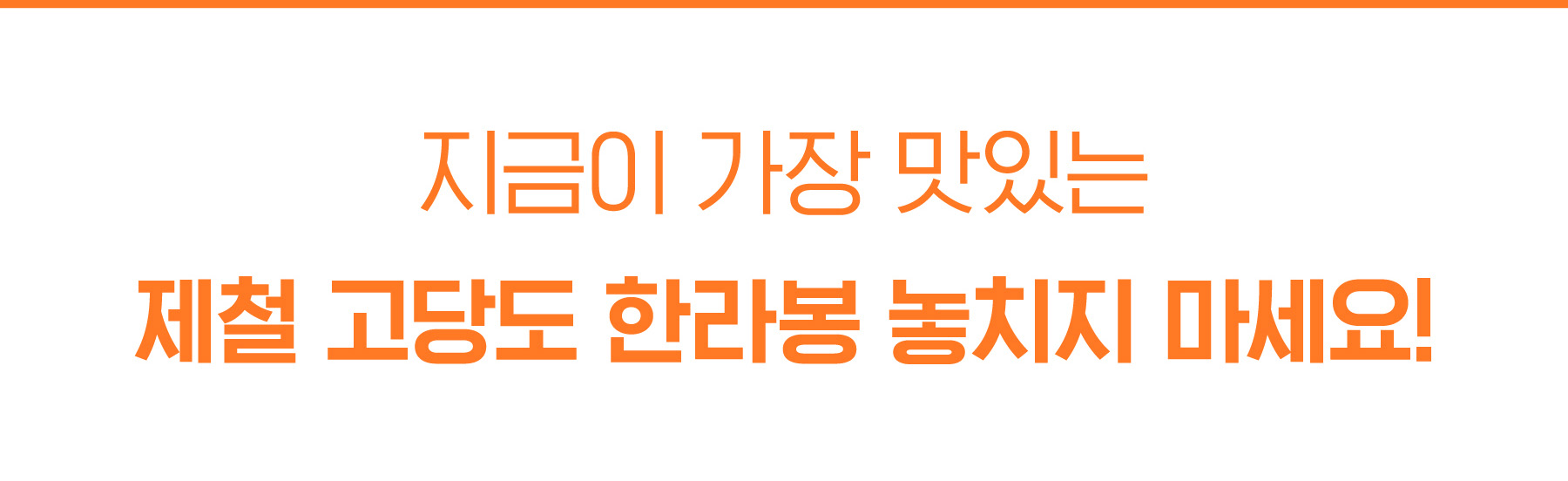 2차_한라봉2.jpg