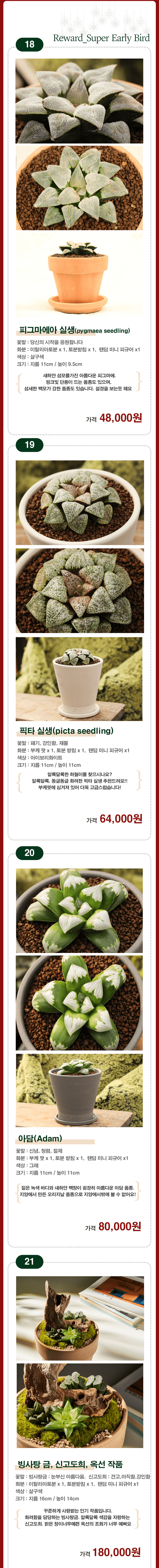 리워드3-6.png