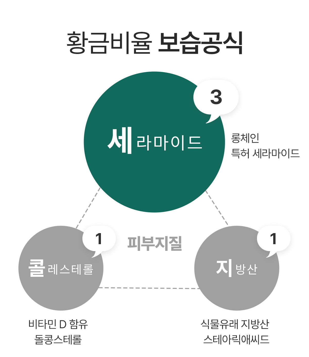 교체이미지.jpg