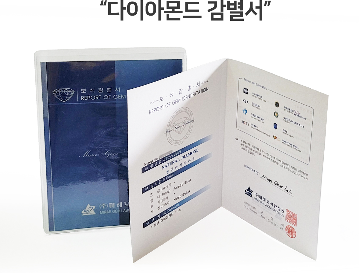 말발굽화이트_3.jpg