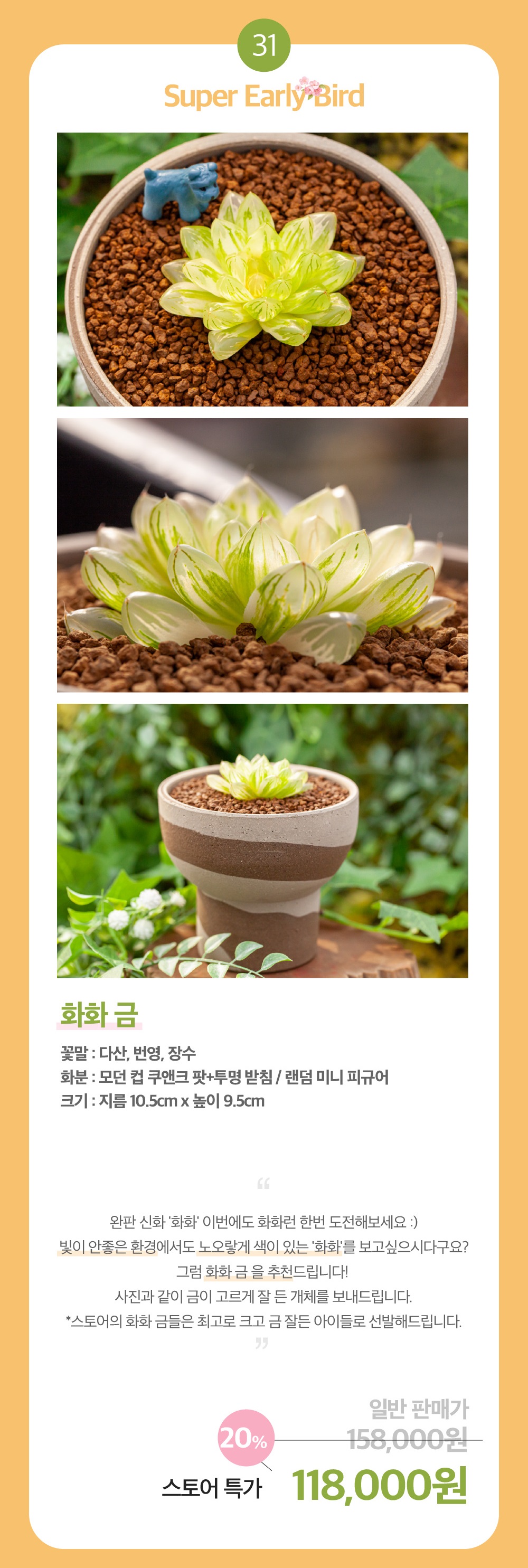 30-31 - 복사본.jpg