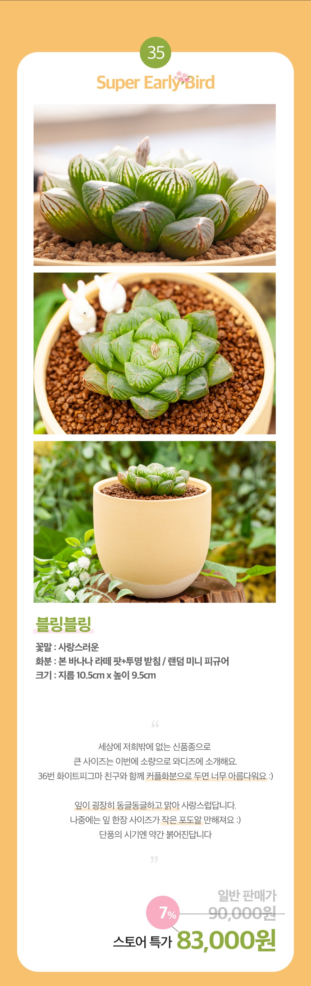 35-36 - 복사본.jpg