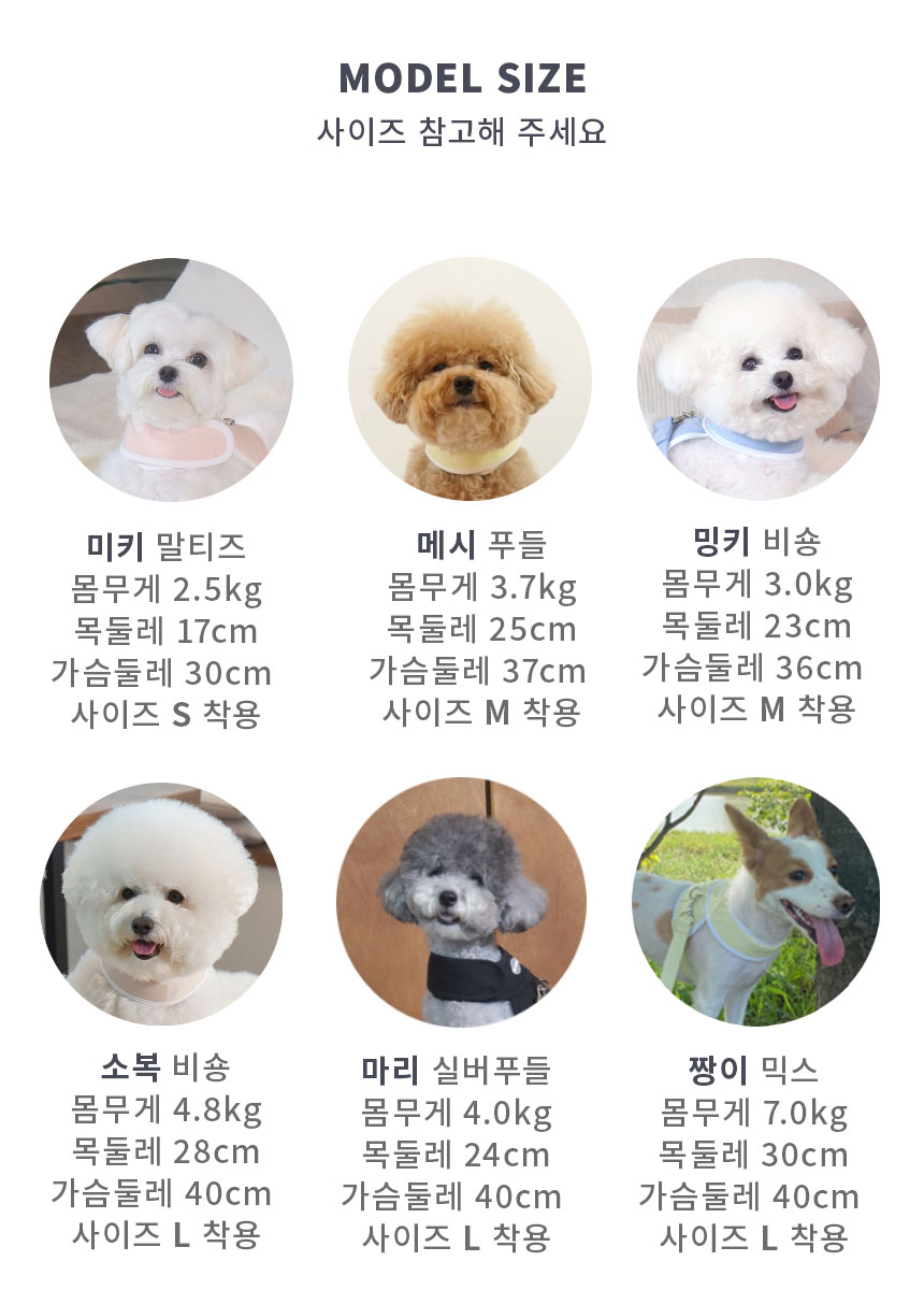 5초하네스 사이즈Artboard 2.jpg