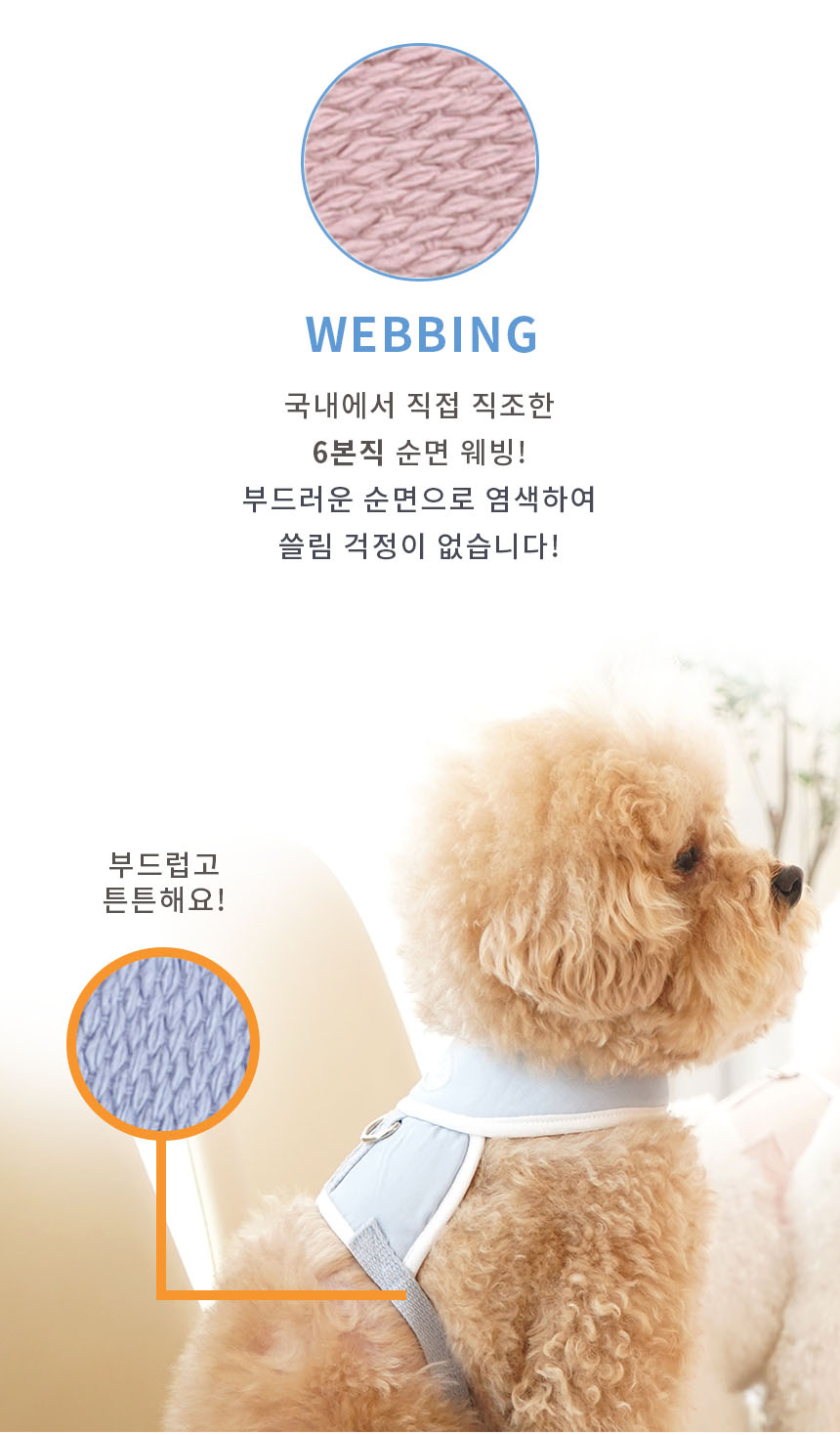 5초하네스 포인트2Artboard 4.jpg