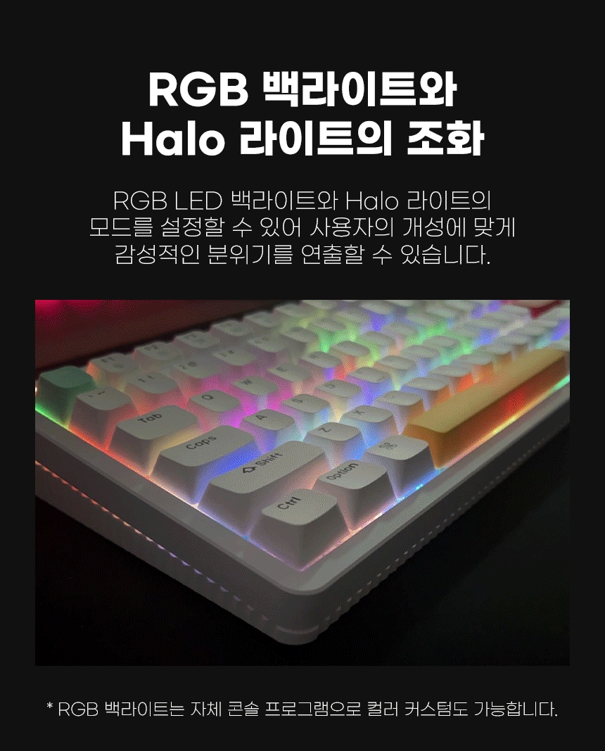 06_백라이트_1000.jpg