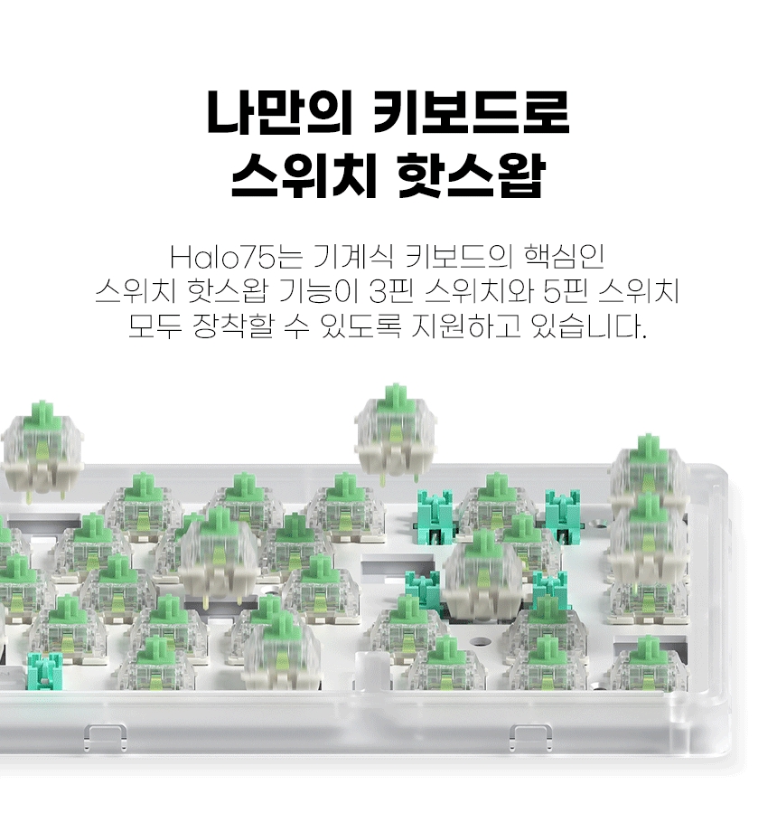 11_핫스왑 (1)_1000.jpg