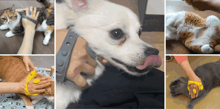 06-08.gif