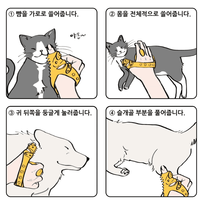 04-03.gif