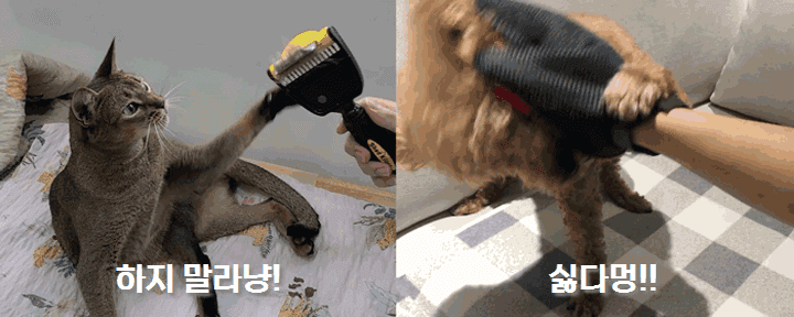 01-02.gif