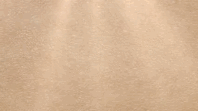 vllo 30.GIF
