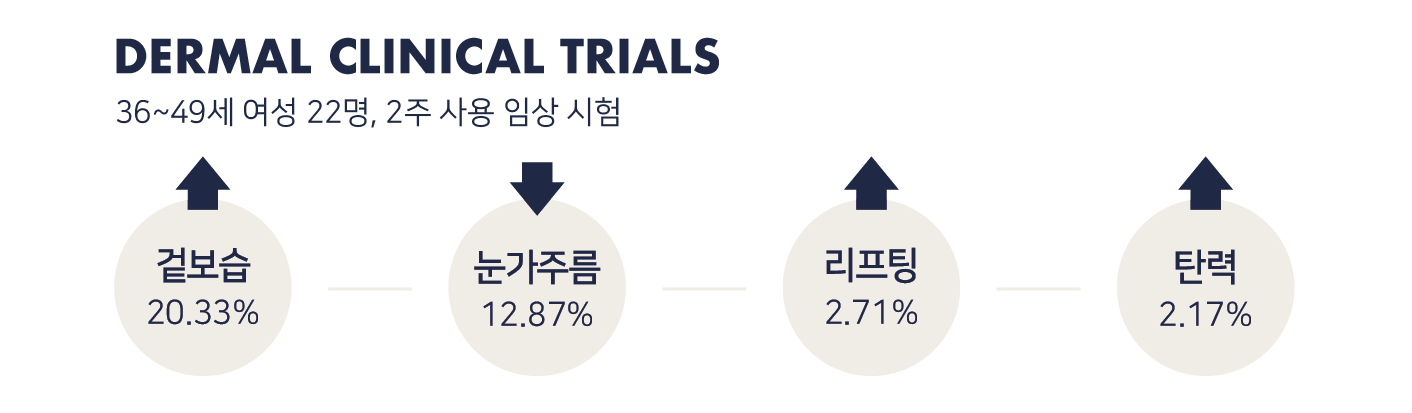 2주 사용 요약 디자인.png