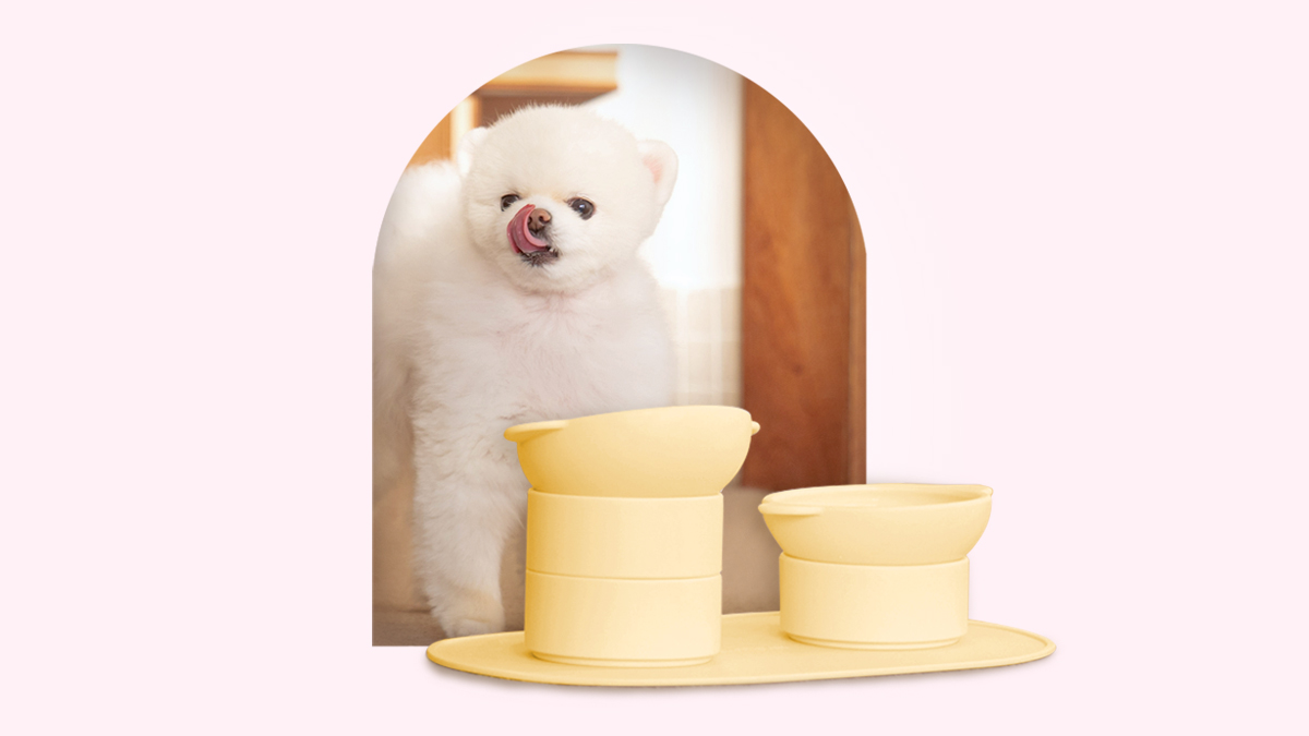 [★정상가38,000원][식기] 높이/각도 조절되는 반려동물 실리콘식기