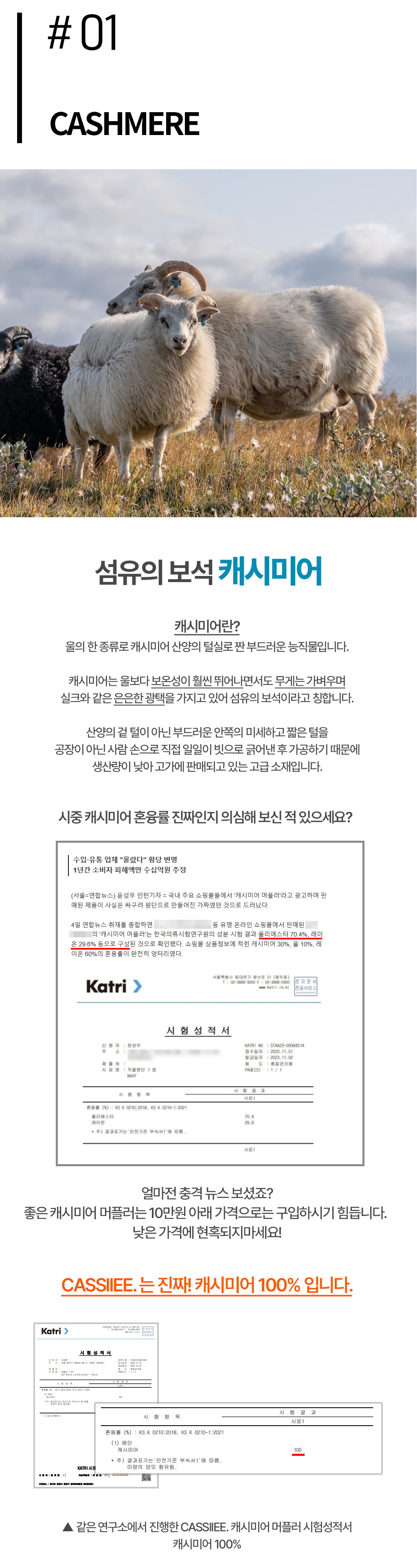 와디즈_61.jpg