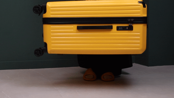 012.gif