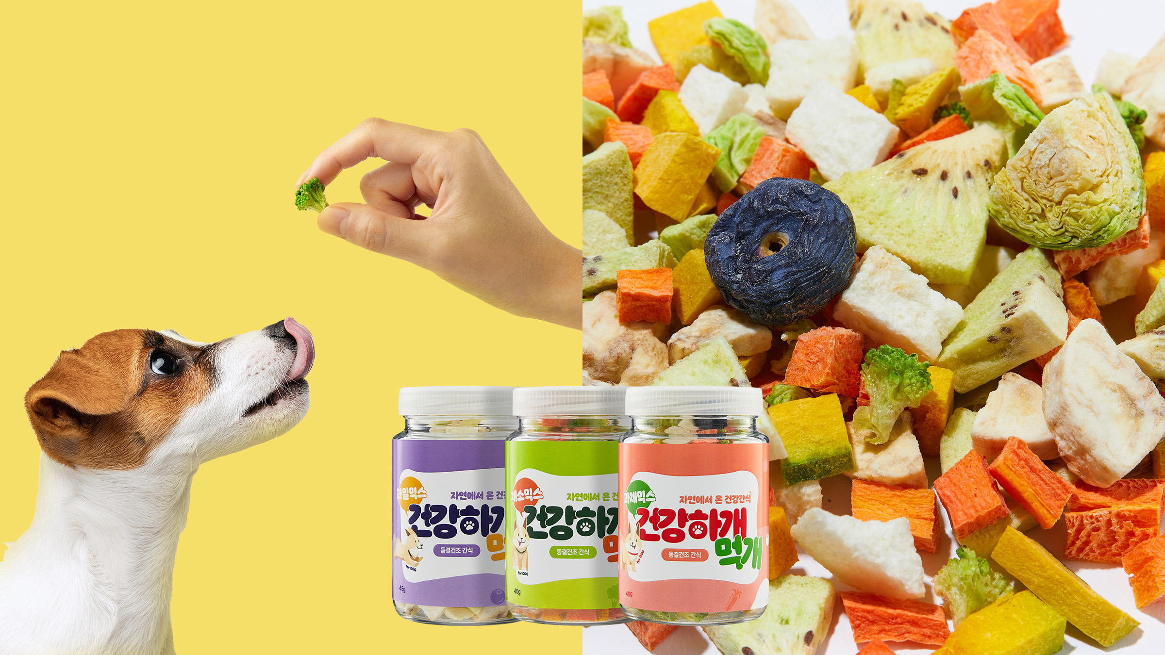 [자연간식] 100%과일&채소 댕댕이 진짜 자연간식, 건강하개 먹개!