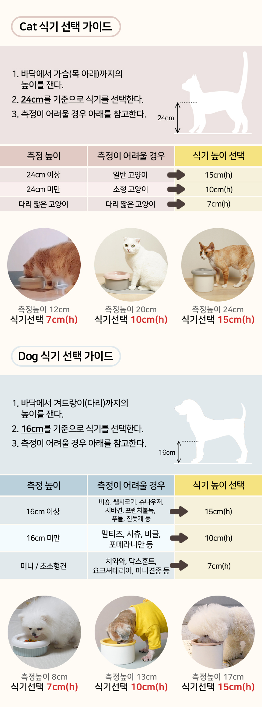 강아지높이.jpg