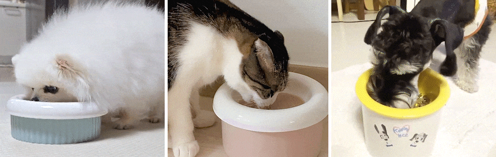 GIF_세컷.gif