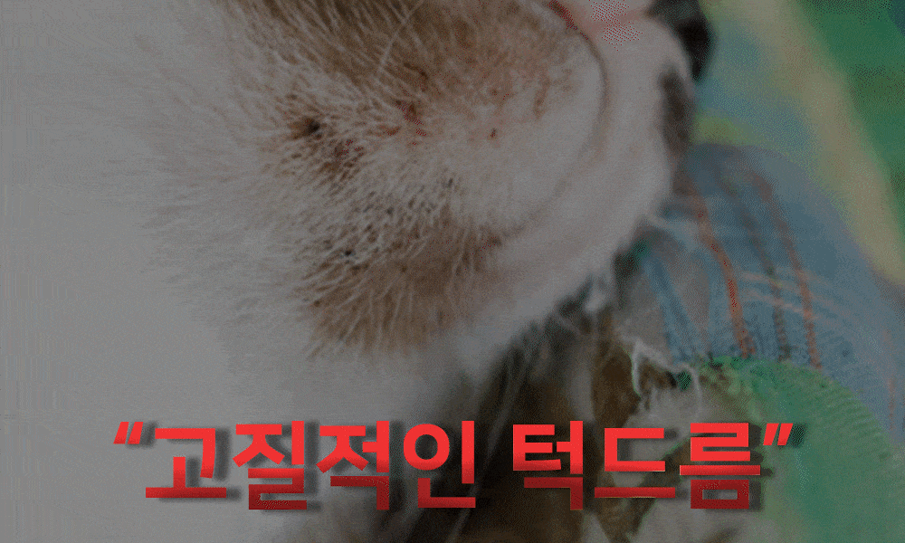 GIF_인트로.gif
