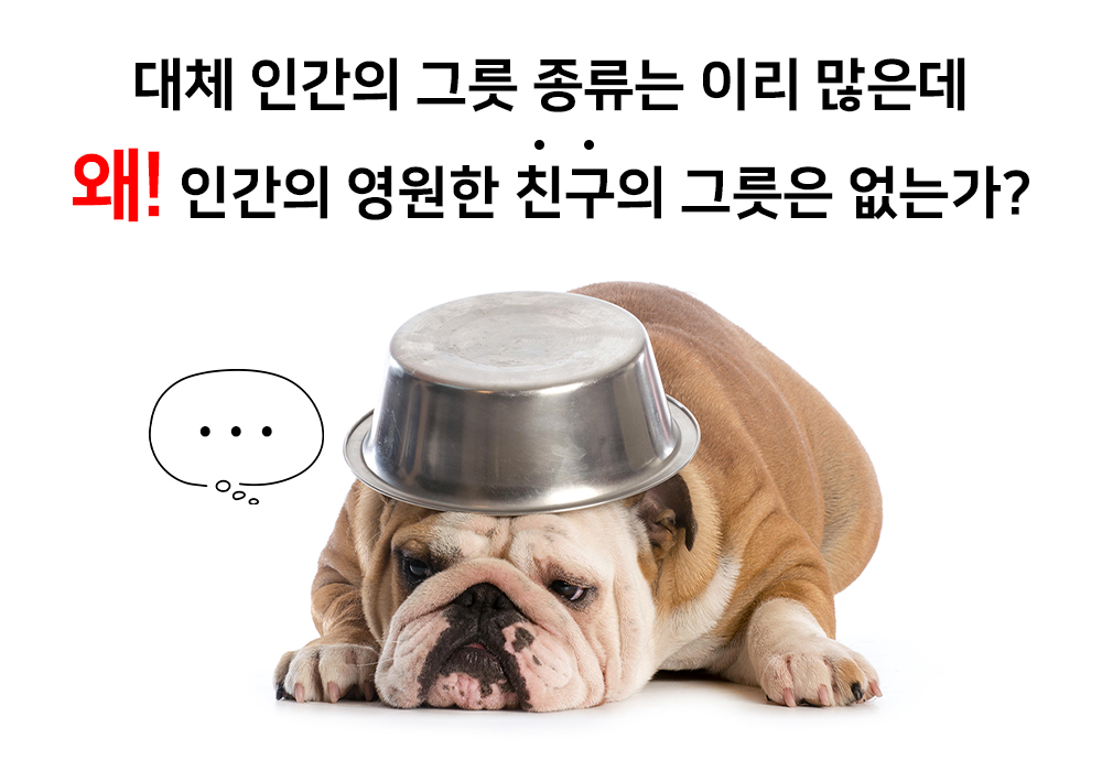 불독.jpg