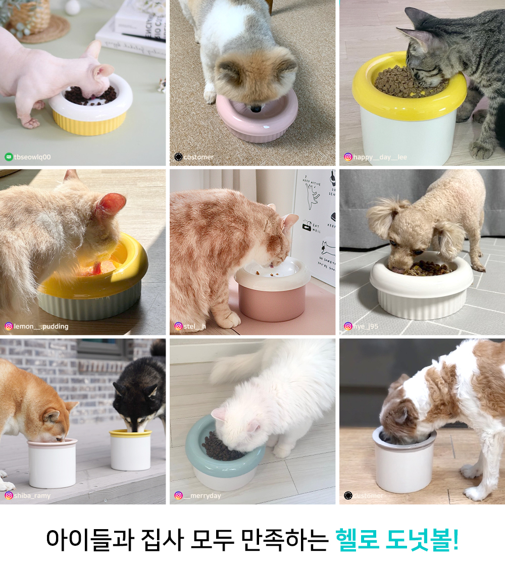 리뷰어.jpg
