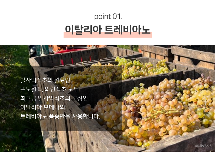 와디업뎃_발사믹-002_0312.png
