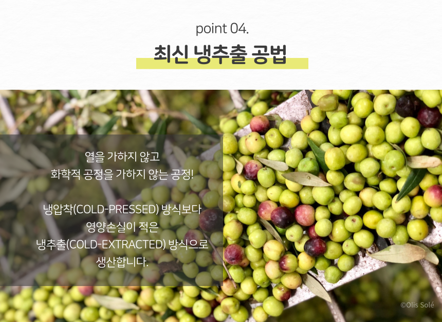 올리브수정.png