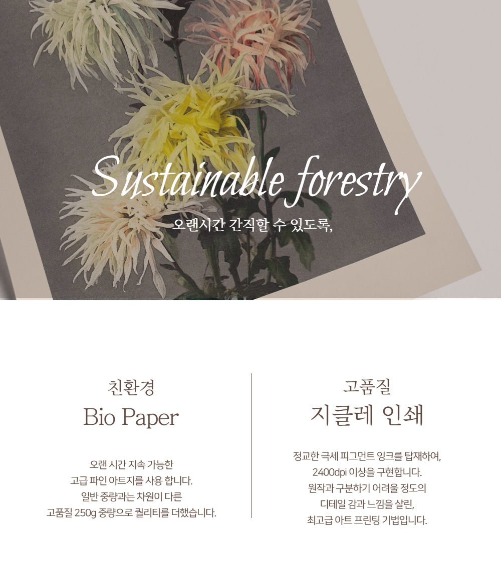 악세사리 상품상세 이미지-S1L22