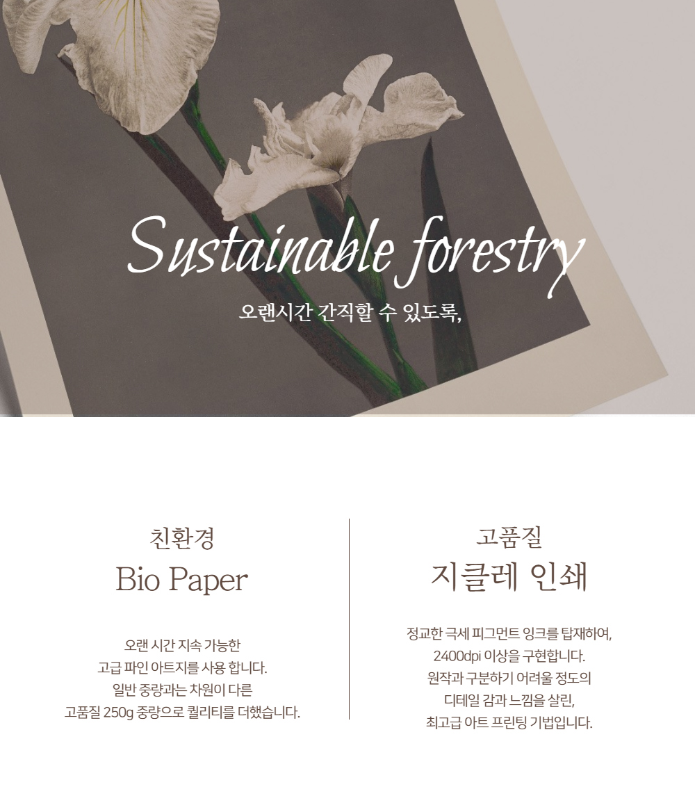 악세사리 상품상세 이미지-S1L22