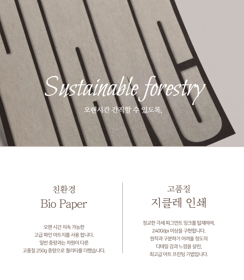 화장품 화이트 색상 이미지-S1L22