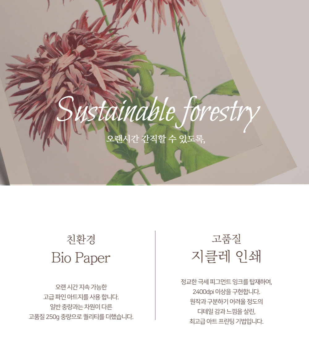 악세사리 상품상세 이미지-S1L22
