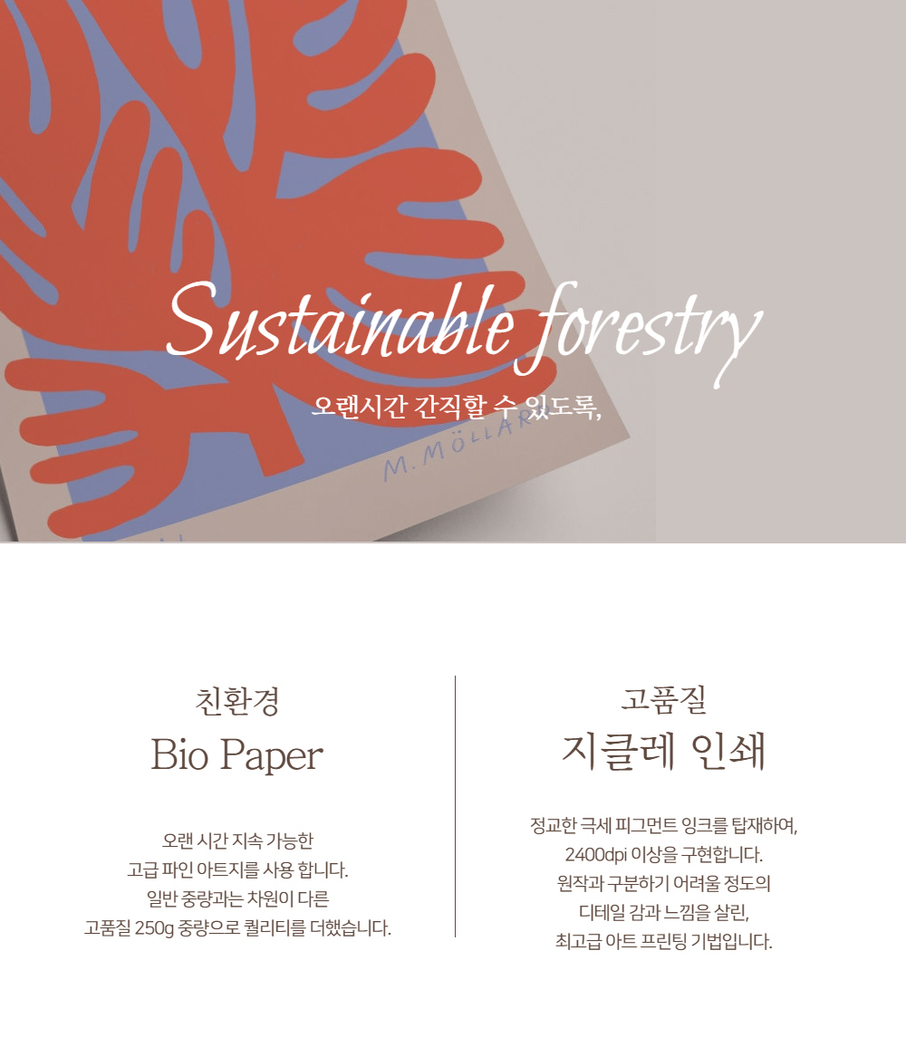 악세사리 상품상세 이미지-S1L22