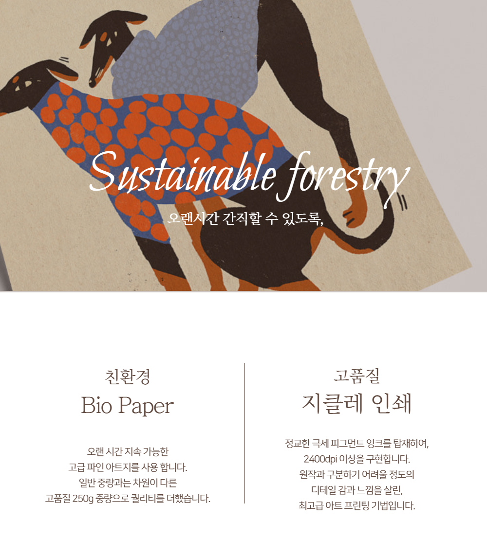 악세사리 크림 색상 이미지-S1L22