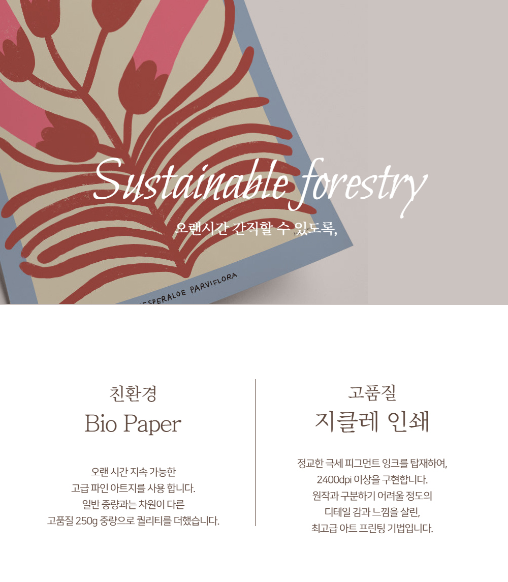 화장품 상품상세 이미지-S1L22