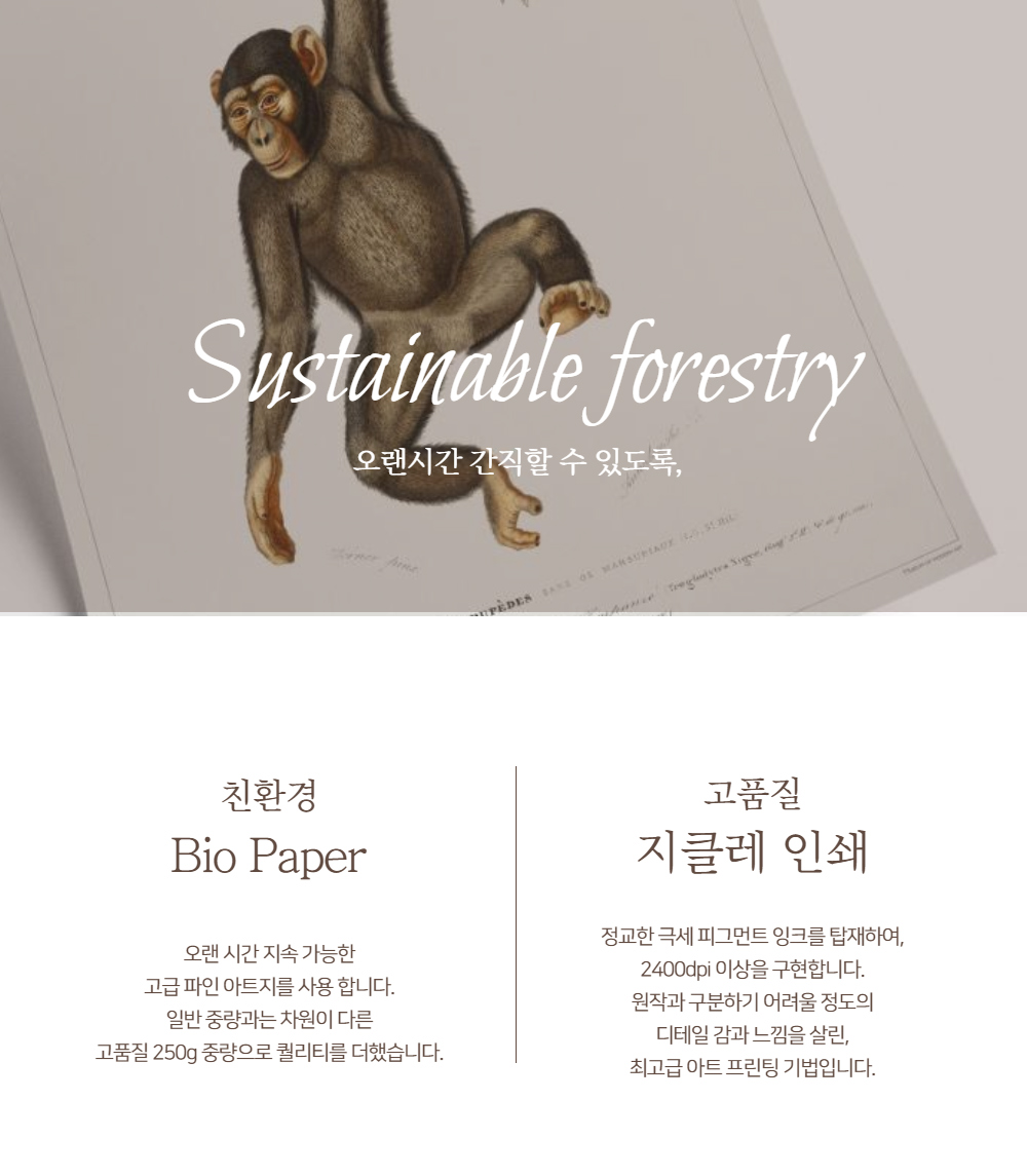 악세사리 모델 착용 이미지-S1L22