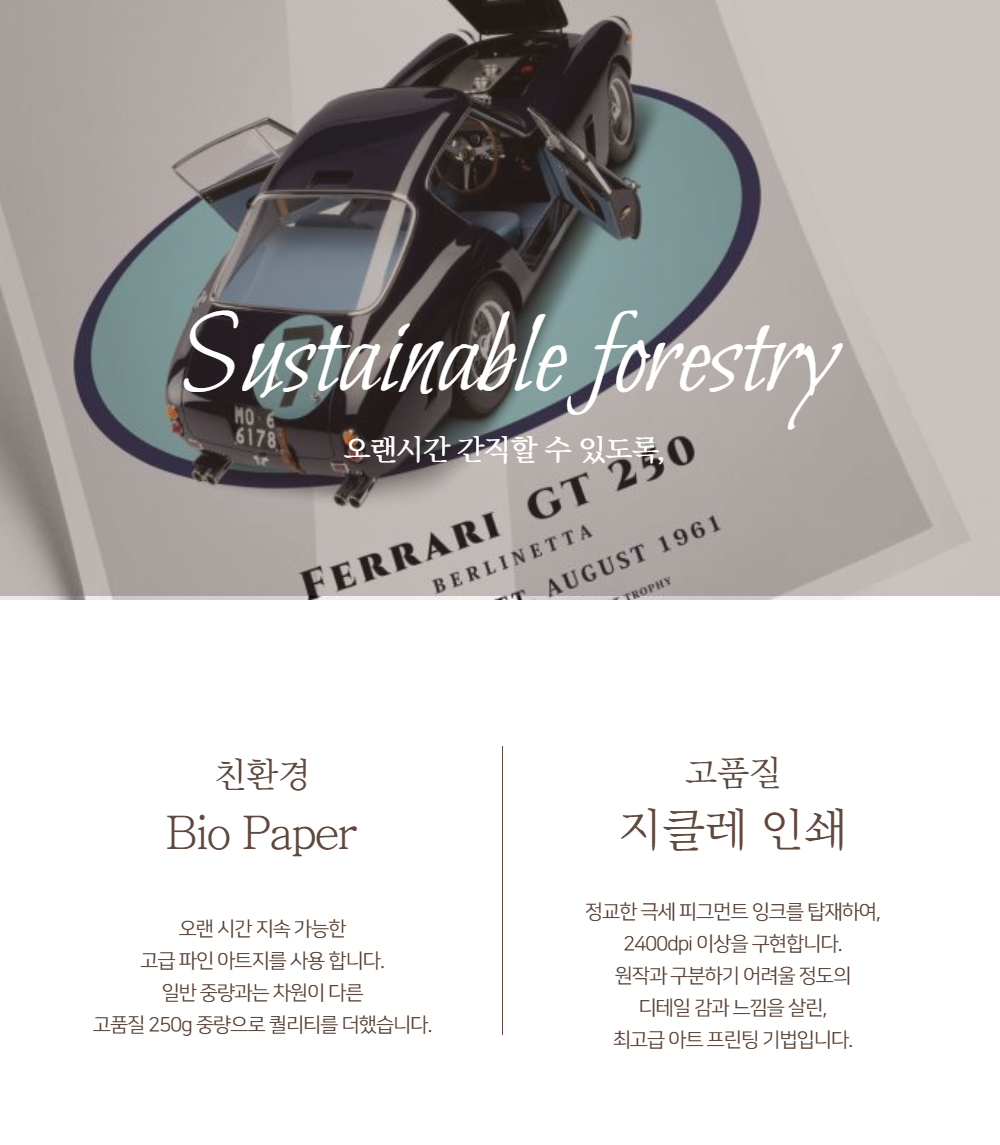 악세사리 화이트 색상 이미지-S1L22