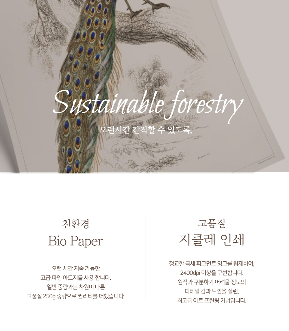 악세사리 화이트 색상 이미지-S1L22