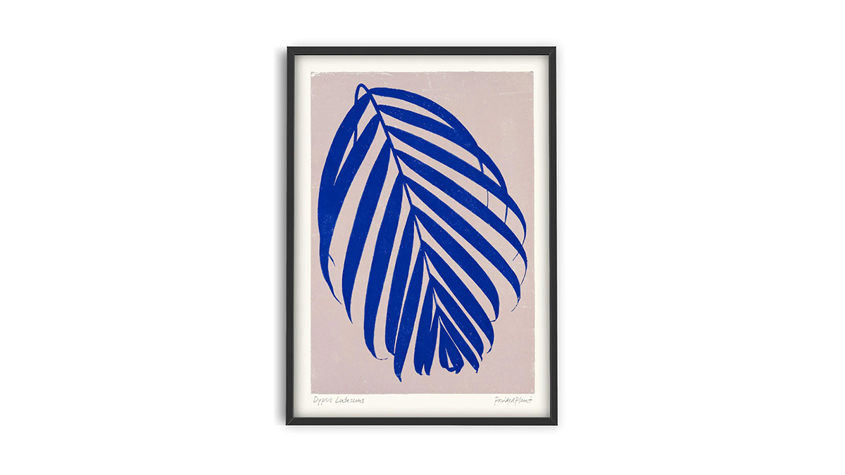 [아트포스터] Dypsis