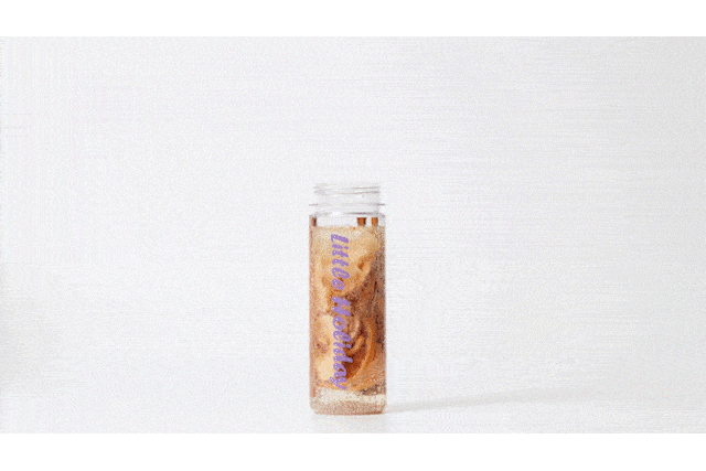 3_06.gif