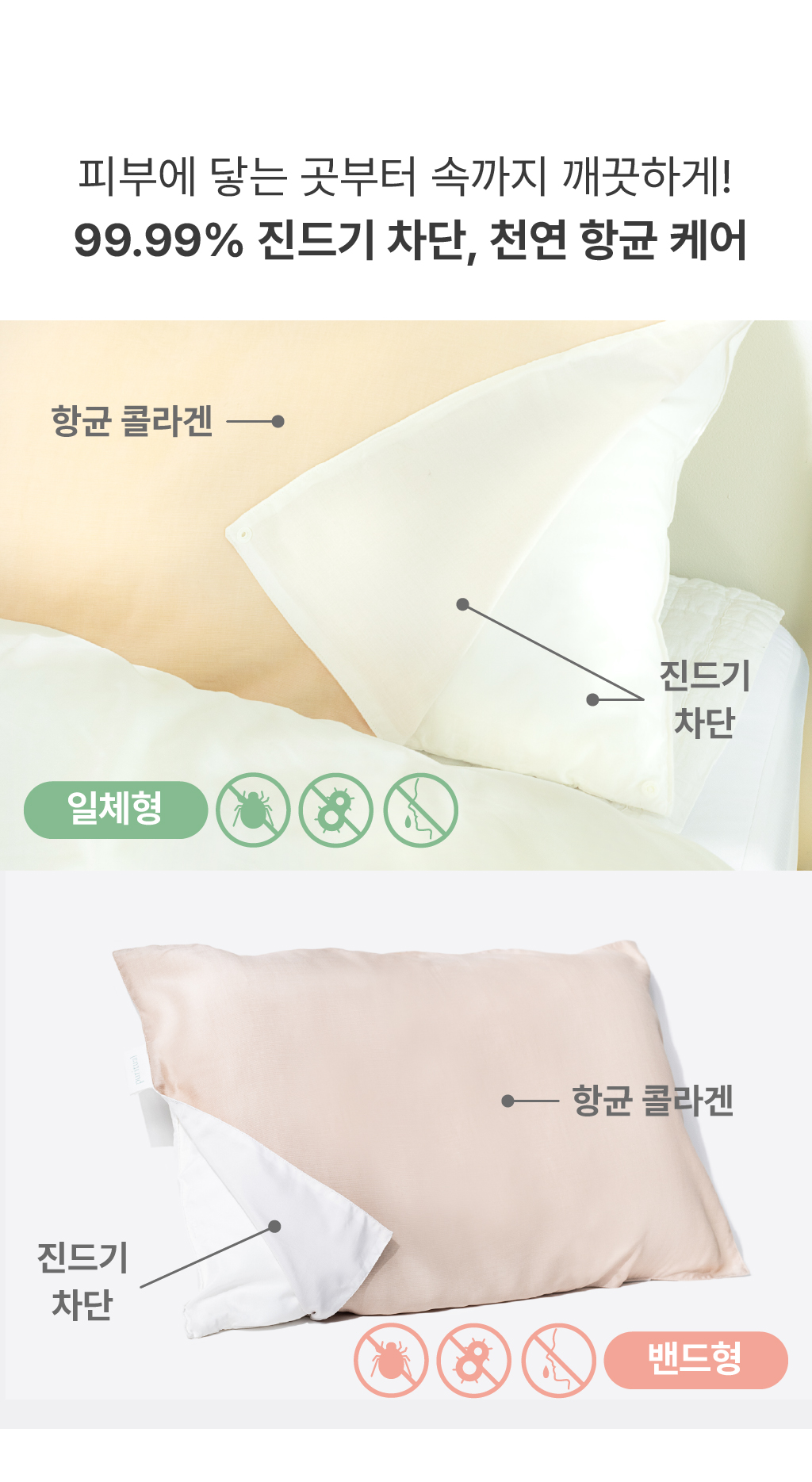 대지-20-100.jpg