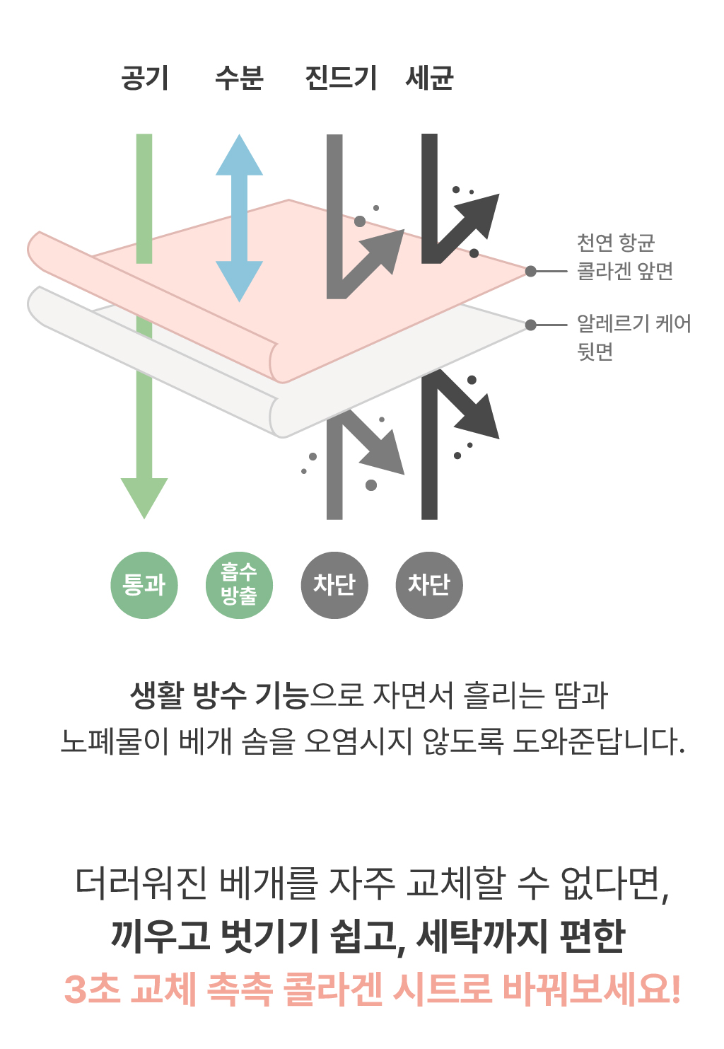 대지-23-100.jpg