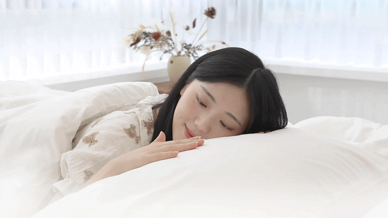 제공영상2.gif