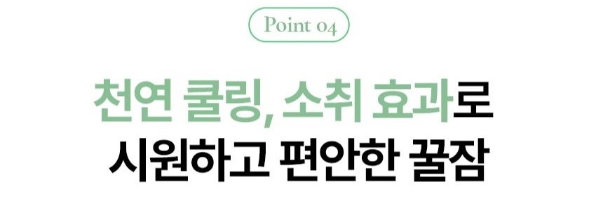 point4_0.jpg