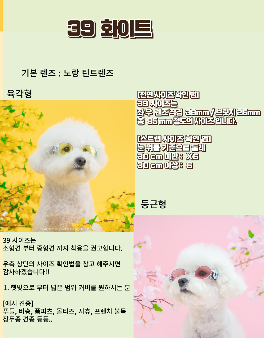 제목을-입력해주세요_-007.png