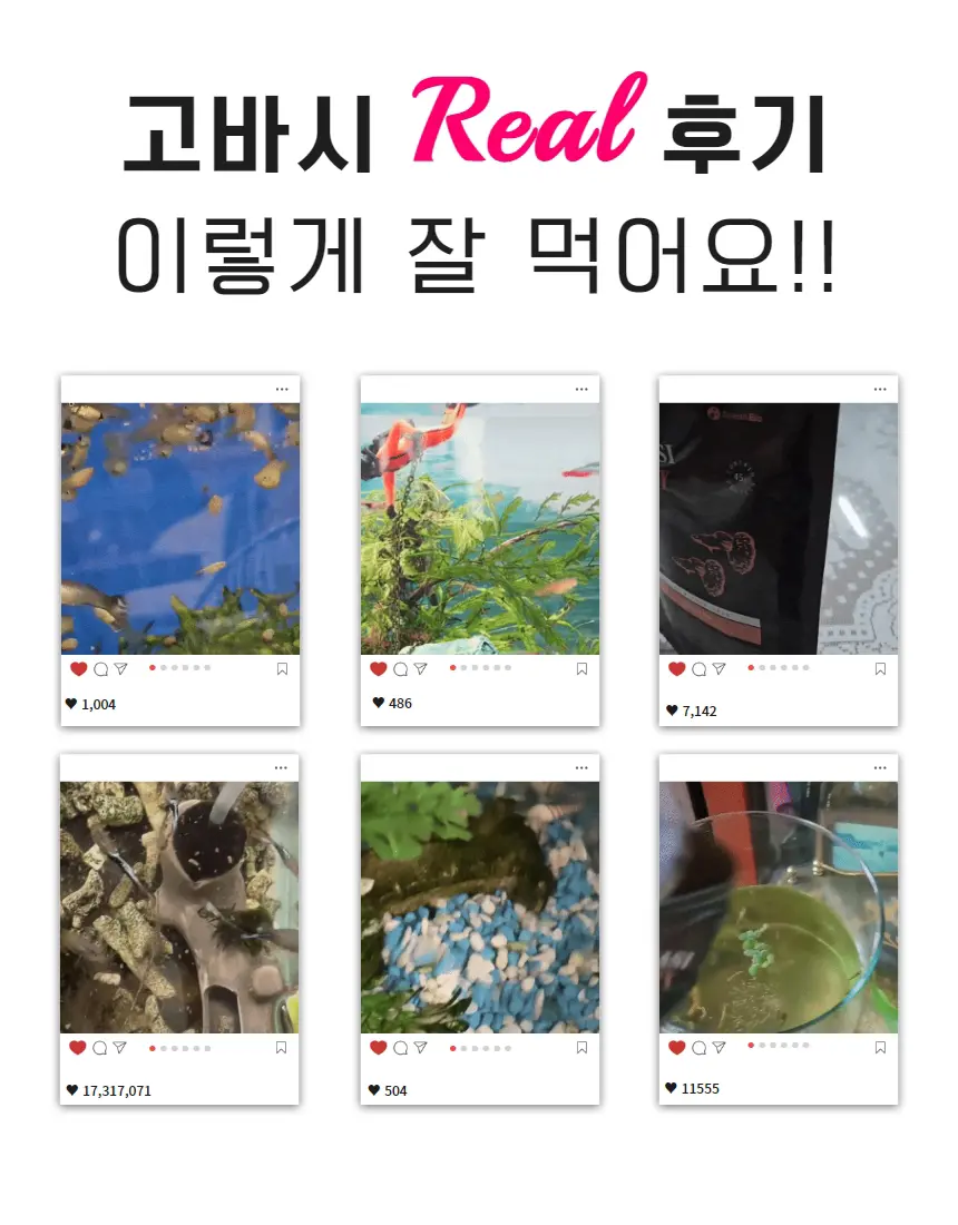 2.webp