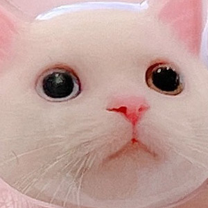 헬로우조조