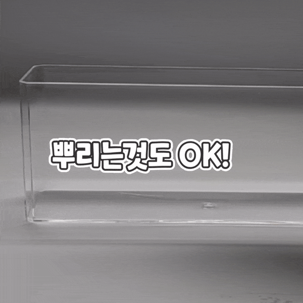 11.gif