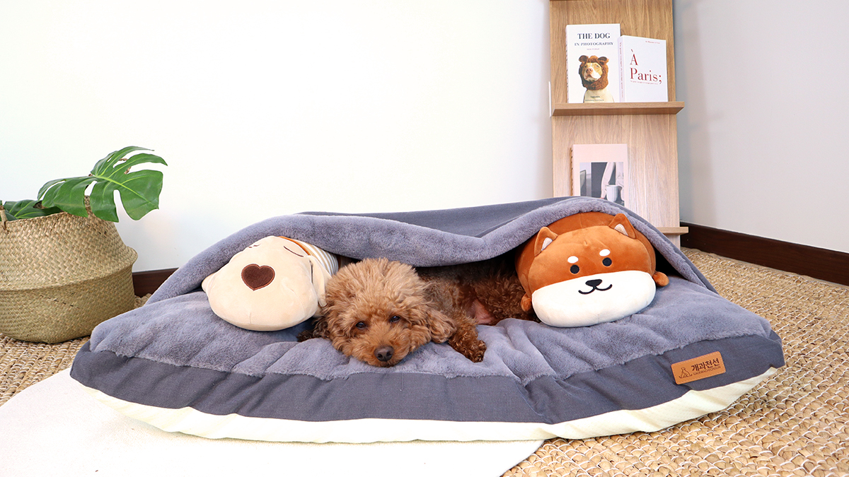 [반려동물쿠션] 강아지 숨숨집! 대형견을 위한 방석!