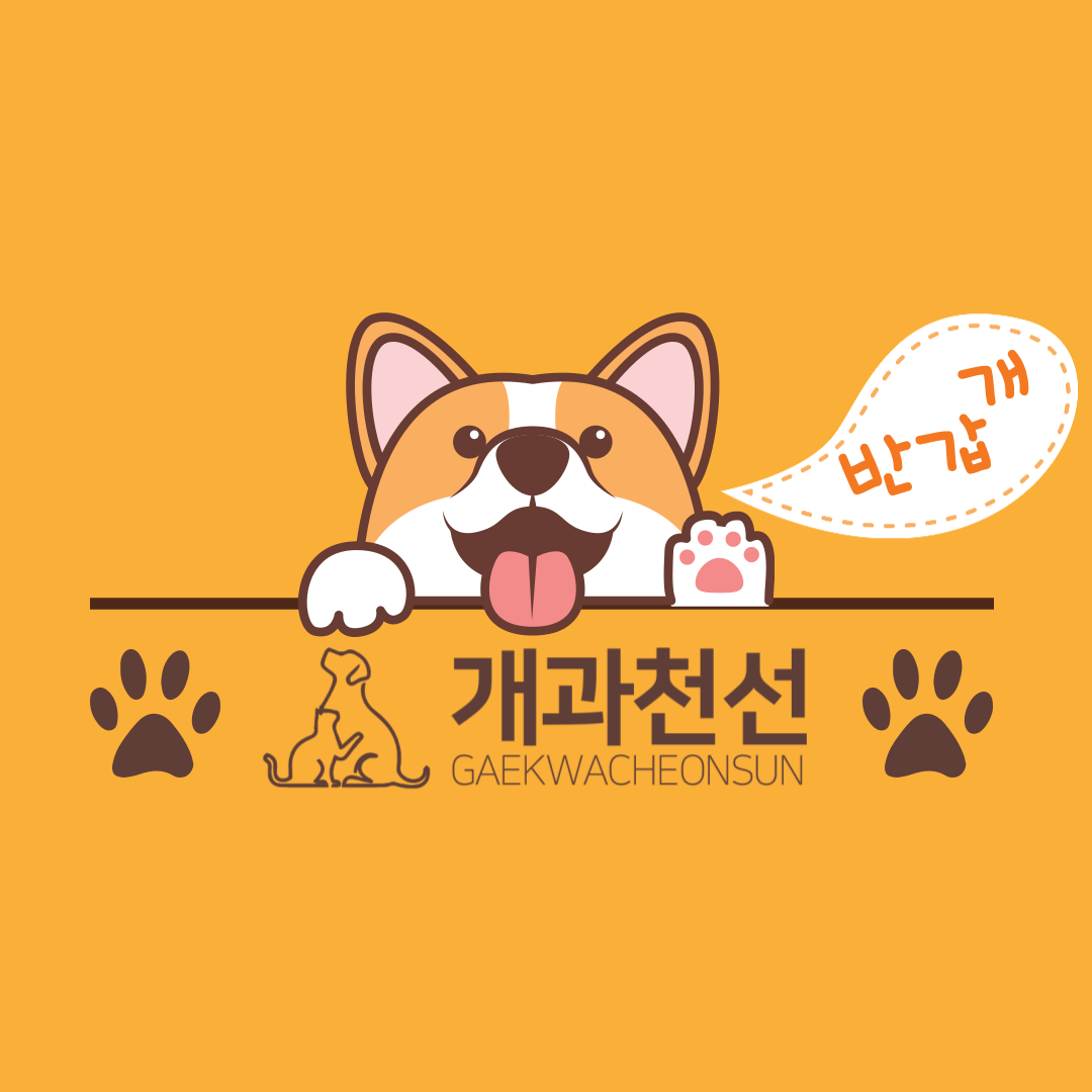 주식회사 개과천선