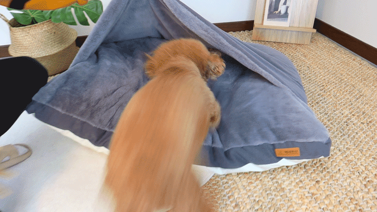 5.gif